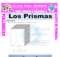 PR 05 Los primas.pdf 